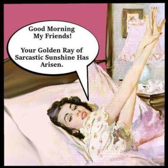 Meet your Posher, Christine - Picture 1 of 1